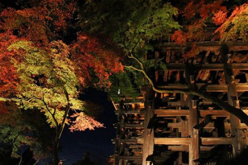 関西紅葉名所１２景巡り　第９景　世界遺産・清水寺のライトアップ Part 2