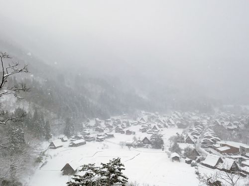 今季初のまとまった雪が降り、白い世界に包まれた世界遺産 白川郷合掌造り集落