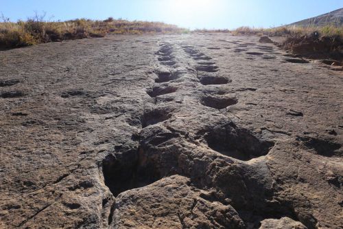 絶景トロトロ 恐竜の足跡とボリビアのグランドキャニオンへ