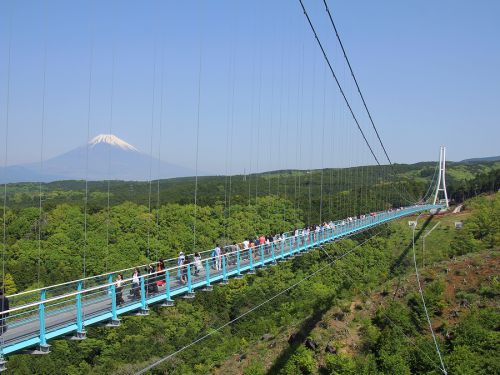 三島スカイウォークで富士山のある景色とスリルを堪能！／日本一の歩行者専用吊橋を歩く