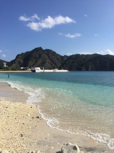 東洋のガラパゴス、手つかずの自然が残る小笠原諸島のおすすめ観光スポット