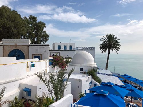 【チュニジア】チュニジアンブルーと真っ白な壁のシディ・ブサイド　～世界遺産のカルタゴ遺跡
