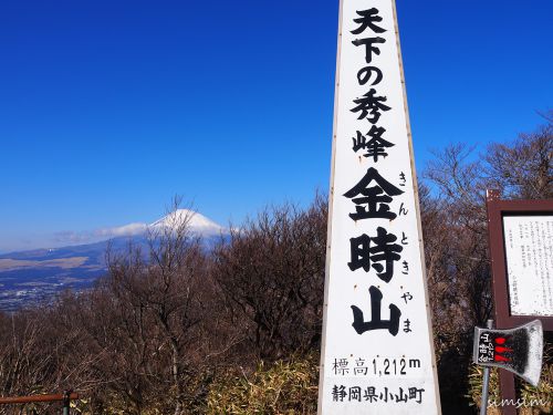 金時山の山頂から見る富士山は超絶景！登山初心者におすすめのハイキングコースです！