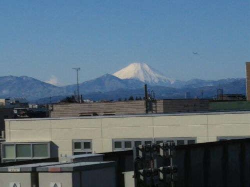 最寄駅から富士山こんにちは☀️ - ねこのピンクハッピーライフ