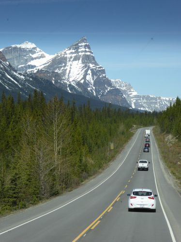 【カナダ春の周遊旅18】カナディアンロッキー～アイスフィールド・パークウェイをドライブ～ - おでかけ ももよろず