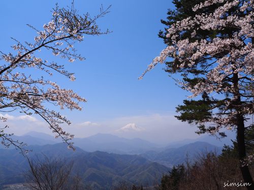 百蔵山～扇山縦走ハイキング！頂上からの景色は富士山の絶景。桜も咲いてたよ！