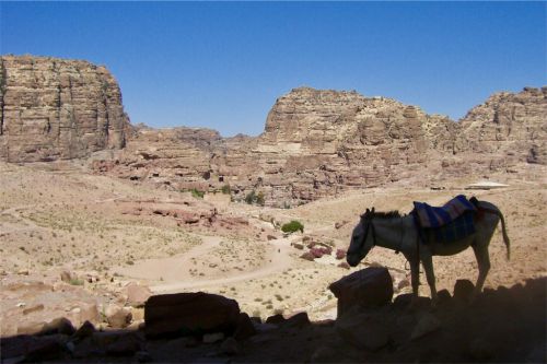 砂漠・溪谷・古代遺跡。アラビア半島にペトラあり！【ヨルダン：ペトラ遺跡】 - ミリオンダイアリー