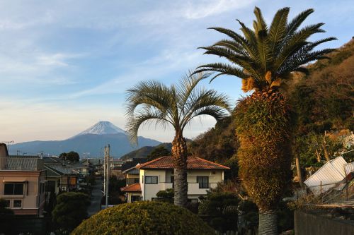 富士山の見える街 - ALNEA note