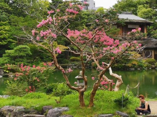 【京都観光】京都にも厳島神社があるのをご存知ですか？ (^^ - ヨーロッパ旅行記（とその他諸々）