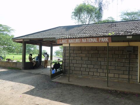 ケニア・タンザニア旅行　その１５　ケニアの世界遺産ナクル湖でゲームサファリ。