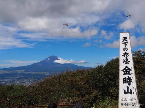 秋の金時山登山！都心からのアクセスも良く富士山の絶景を楽しめるよ！