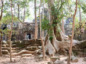 アンコール・ワット観光の穴場！「タ・ネイ」遺跡は美しき廃墟系｜カンボジア｜LINEトラベルjp 旅行ガイド