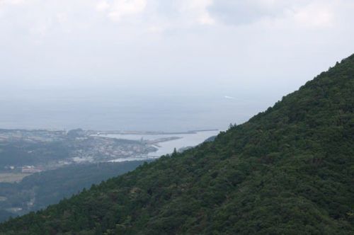 白谷雲水峡をカメラを持って娘と散策【屋久島風景写真・フォトウォーク】