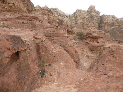 ヨルダン旅行　その１０　ペトラ遺跡のワディ・ファラサをトレッキング。