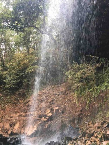 アンコールワットのおすすめ日本語ガイドトム(７２２カンボジアの観光地（ラタナキリ州)のおすすめチャオン滝とカシューナッツ畑