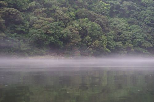 川面に浮かぶ靄が幻想的だった屋久島カヌーツアー