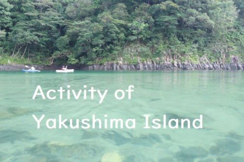 世界遺産の屋久島で楽しめるアクティビティをご紹介！　【リバーカヤック・シャワークライミング・アニマルウォチング・ケイビング】