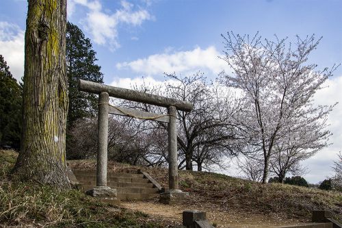 桜咲く芳賀町富士山自然公園の別雷神社と果樹園
