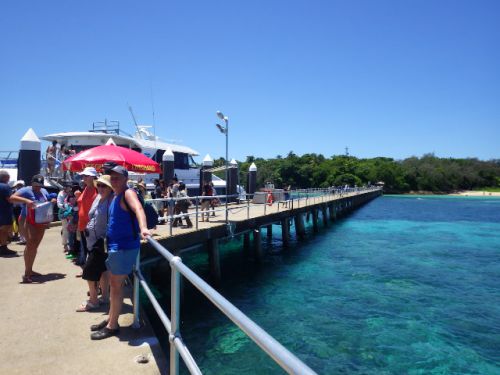 【世界遺産「グレート・バリア・リーフ」(Great Barrier Reef) に浮かぶ楽園】グリーン島 (Green Island)