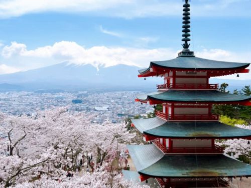 【富士吉田】「富士山と五重塔と桜」日本の絶景＠新倉山浅間公園・忠霊塔