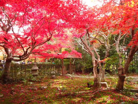 世界遺産「古都京都の文化財」の構成資産