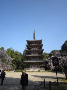 ２０１５年３月京都7　醍醐寺7　五重塔